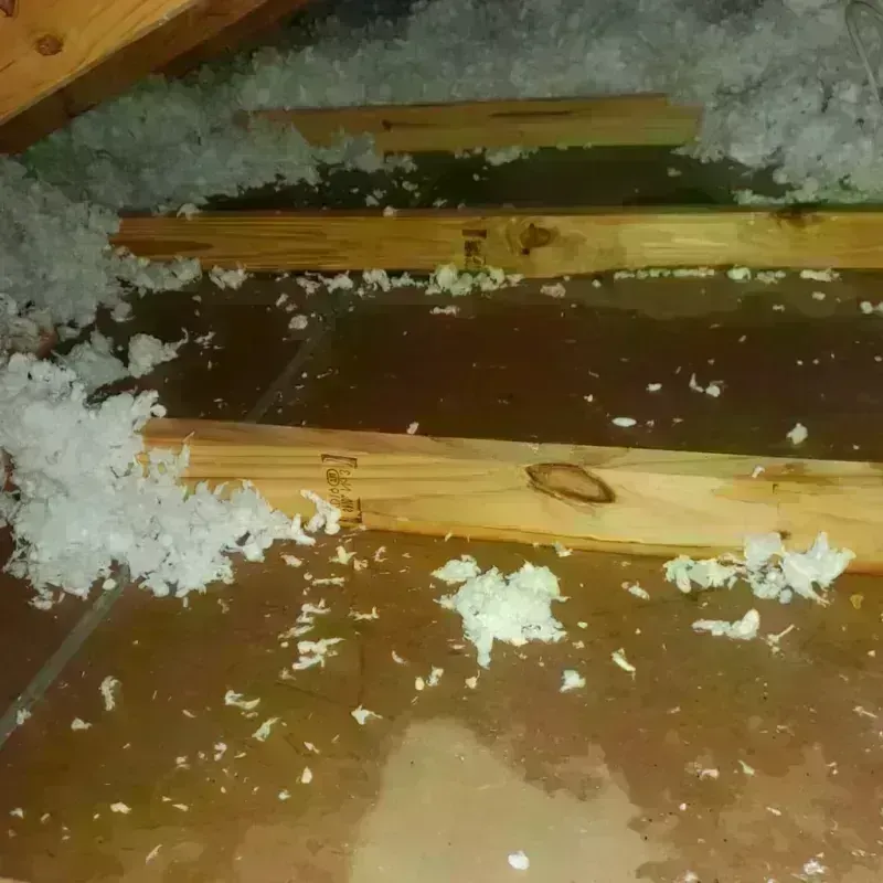 Attic Water Damage in York, SC